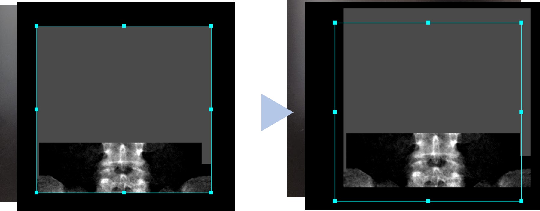 Clinical Tips_yokohamashitobu09.jpg